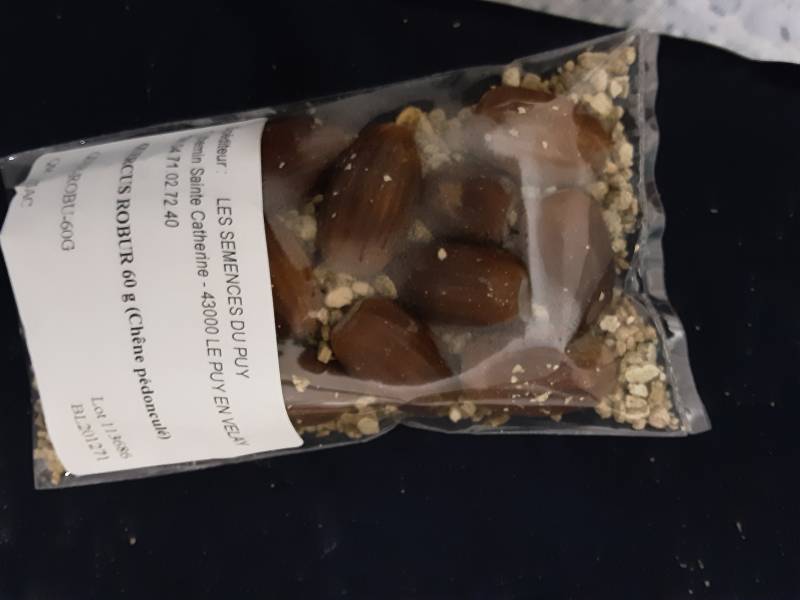 20201122_000542.jpg 20201122_000542.jpg