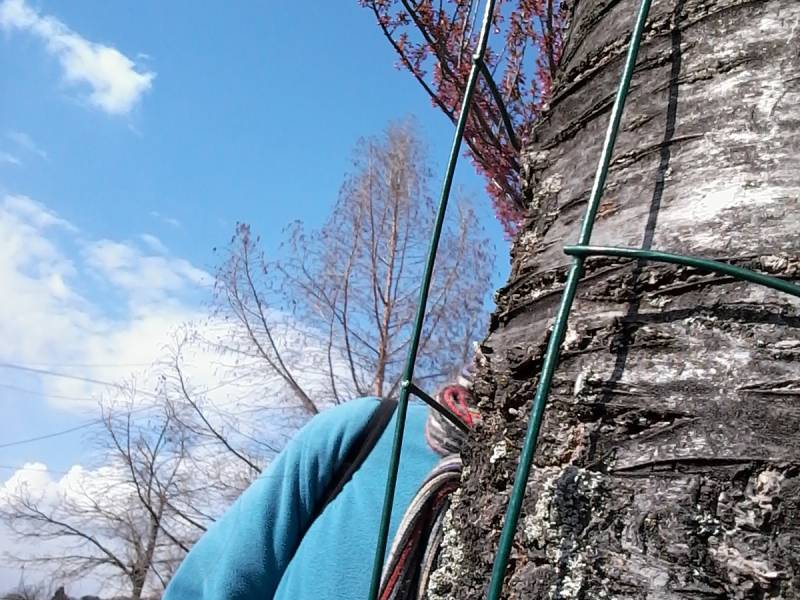 20210414_154512.jpg 20210414_154512.jpg