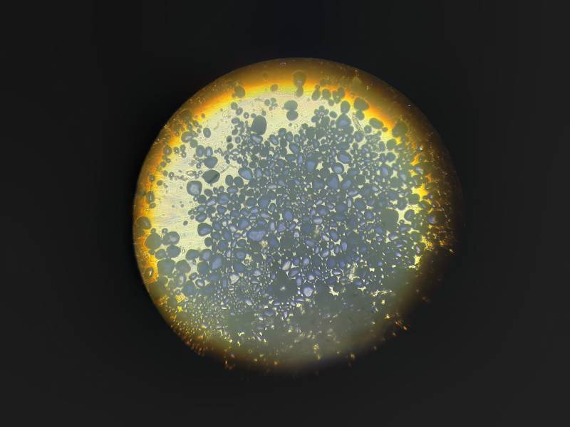 20201007_161558.jpg 20201007_161558.jpg