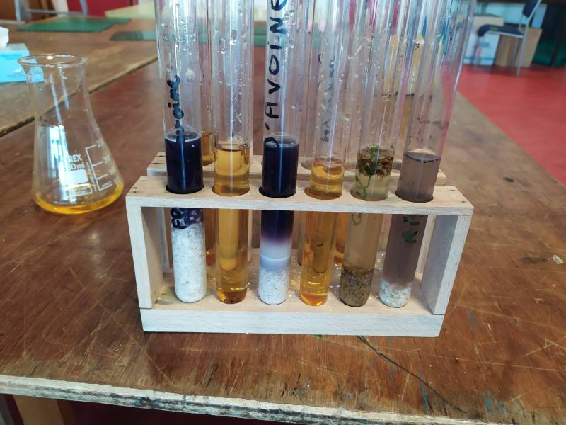 img_20200930_163147.jpg img_20200930_163147.jpg