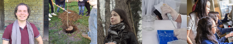 montage_improvise_3.png montage_improvise_3.png