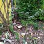 img_20201017_160336.jpg