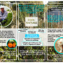 flyer_page_2_sept_2020_v2.png