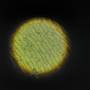20201007_162227.jpg