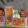 mjc-nomade_tomates.png