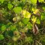 img_20200818_183610.jpg